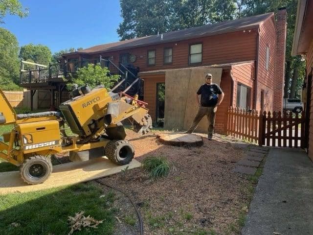 Commercial Stump Grinding (Kent County, VA)