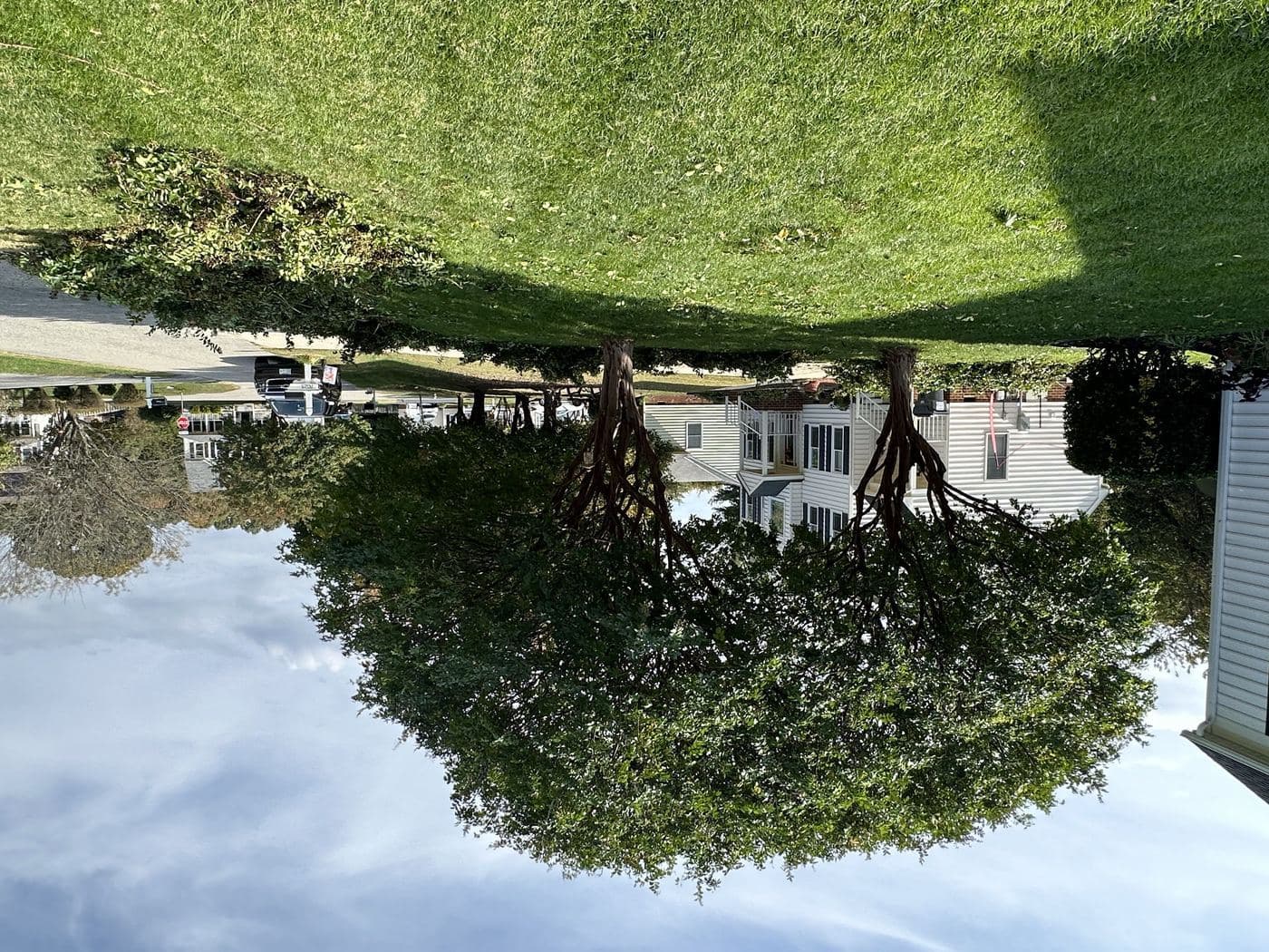 Tree Crown Reduction