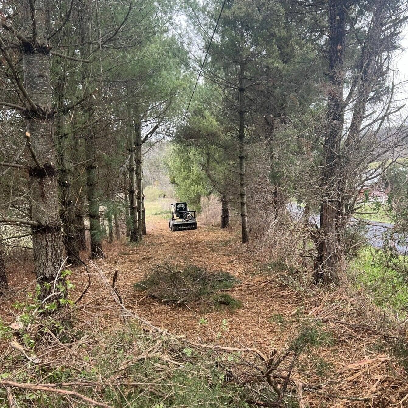 Skid loader mulching in forest