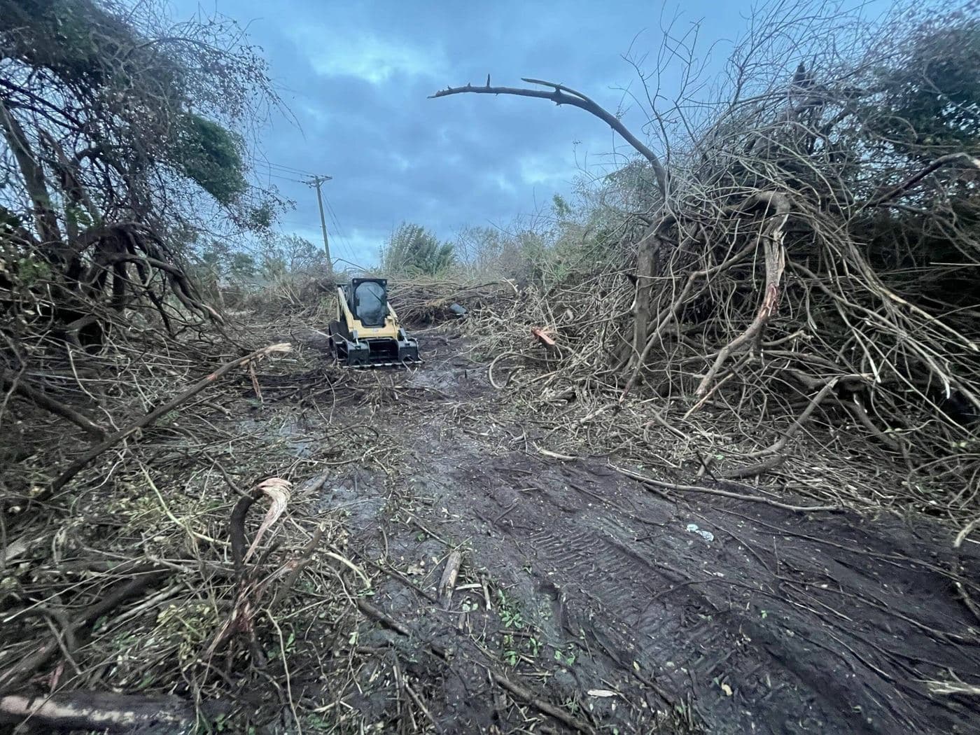 Hurricane Readiness: Storm-Proofing Your Central VA Landscape
