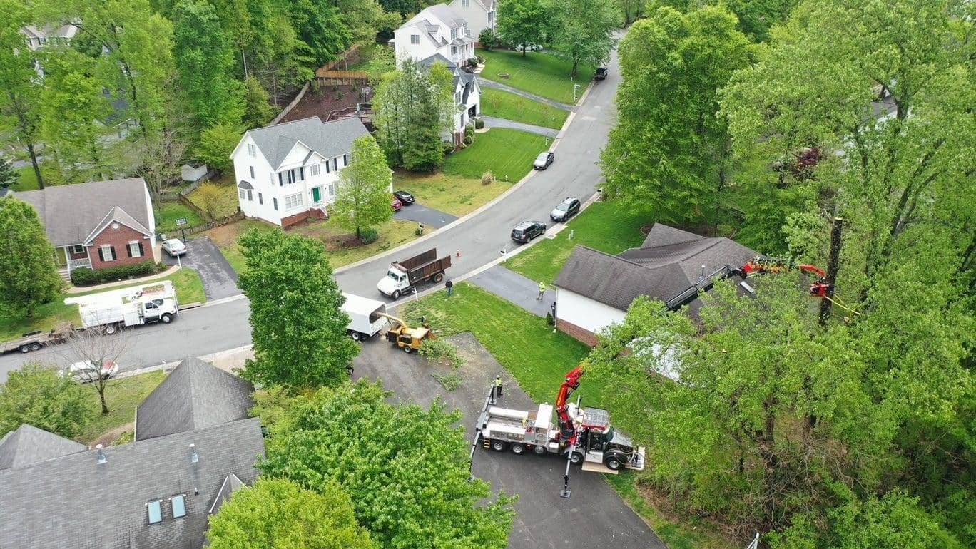 When Home Renovations Require Tree Removal: A Central Virginia Homeowner's Guide