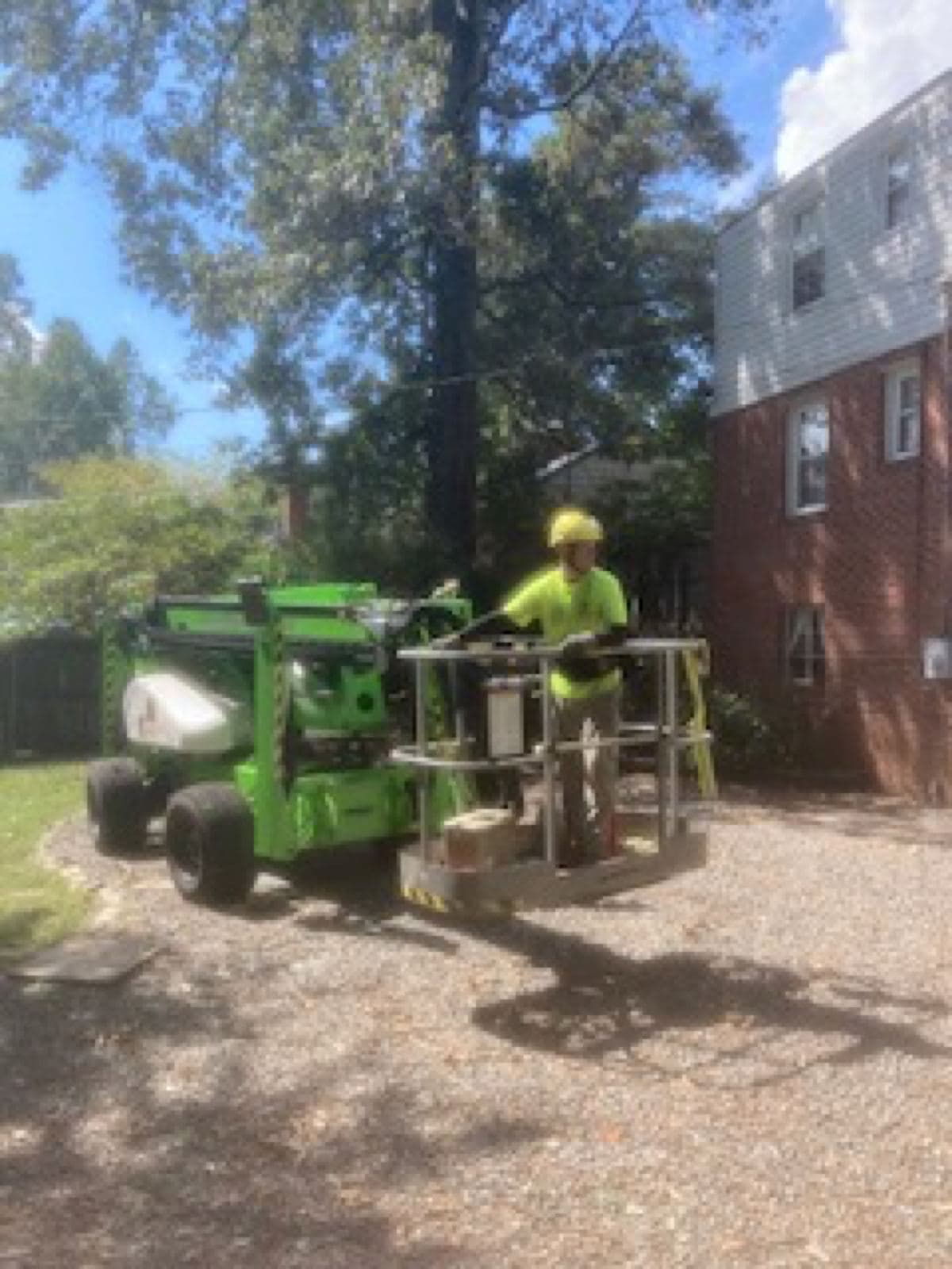 Tree care on a corporate campus in Richmond, Virginia.