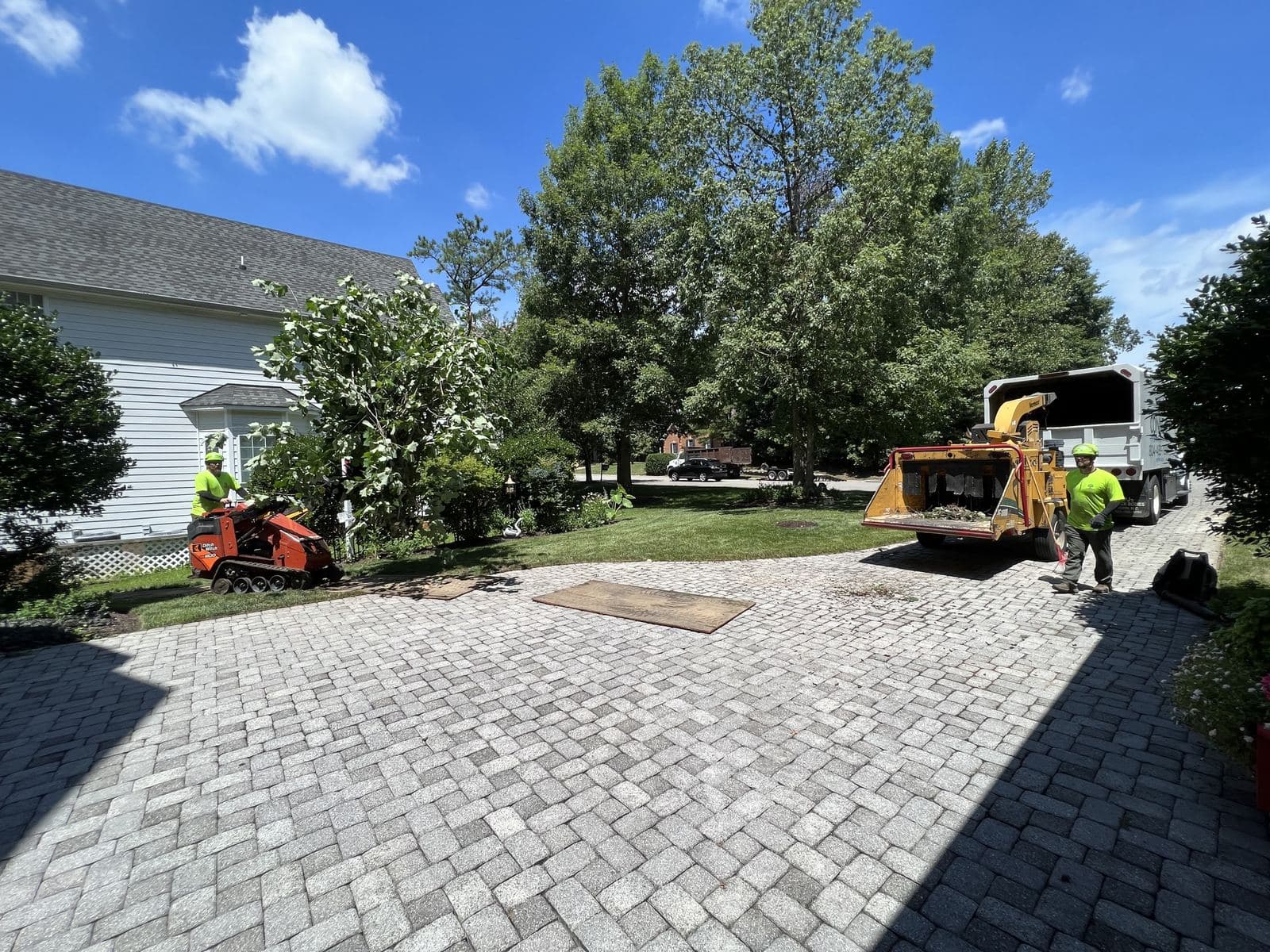 Careful tree trimming at a high-end residential property in Virginia.