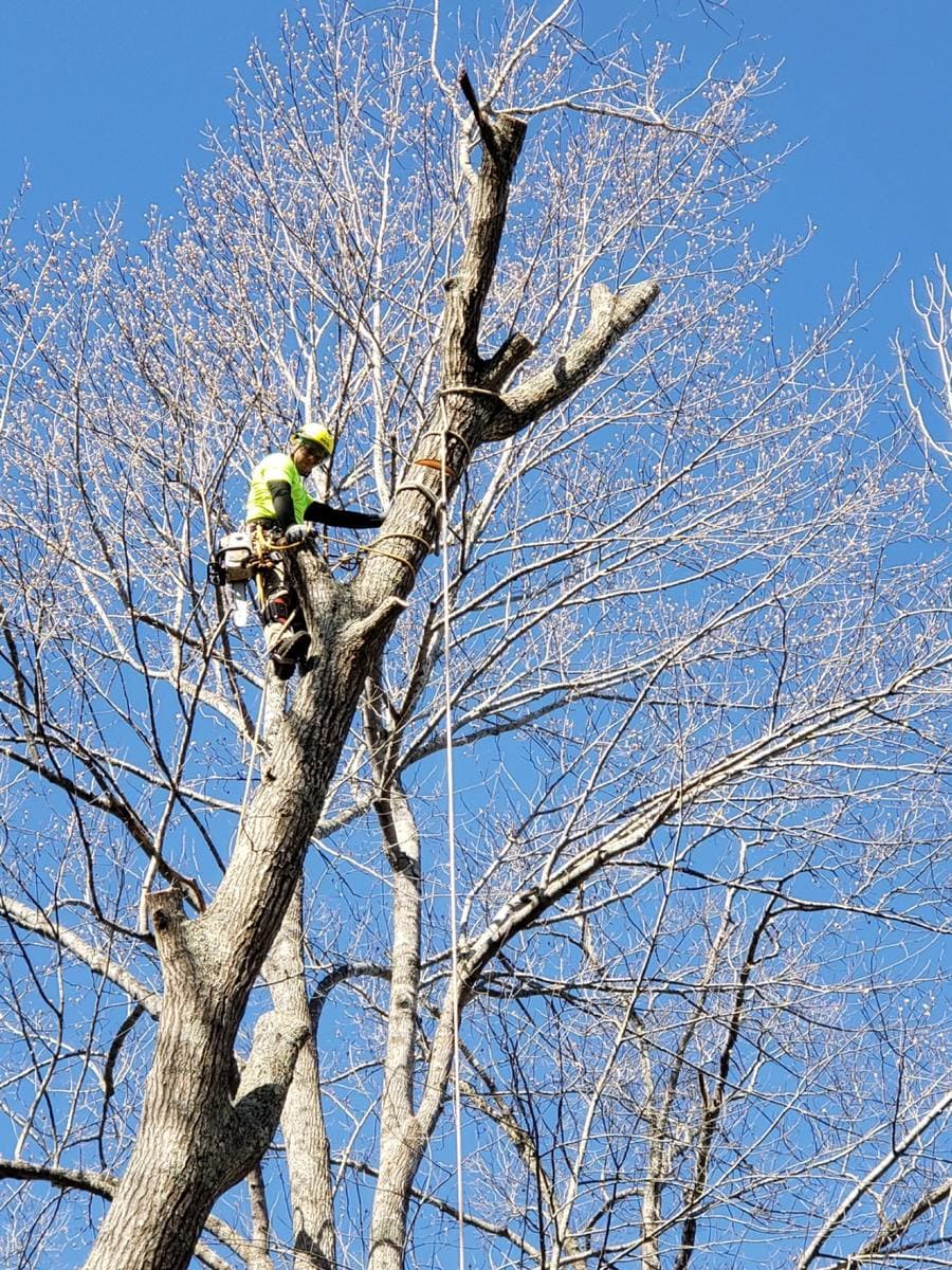 Climber working a bare crown in winter.