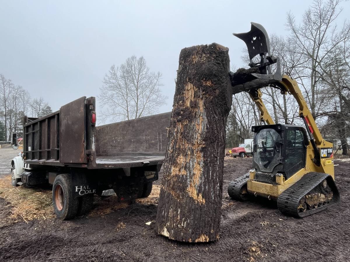 Trunk section lifted into the dump truck.