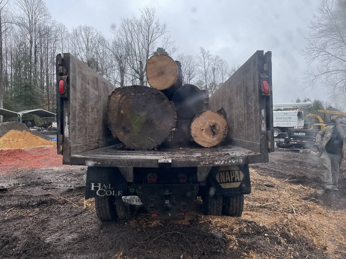 Truck loaded with trunk rounds at the end of a removal.