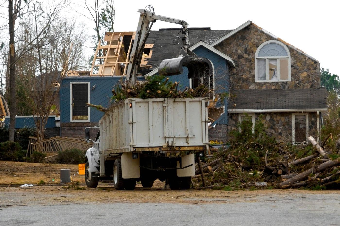 Professional tree pruning and stump grinding in Henrico County, Virginia.