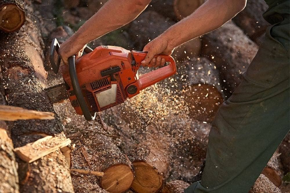 Tree removal and care services in Mechanicsville, Virginia.