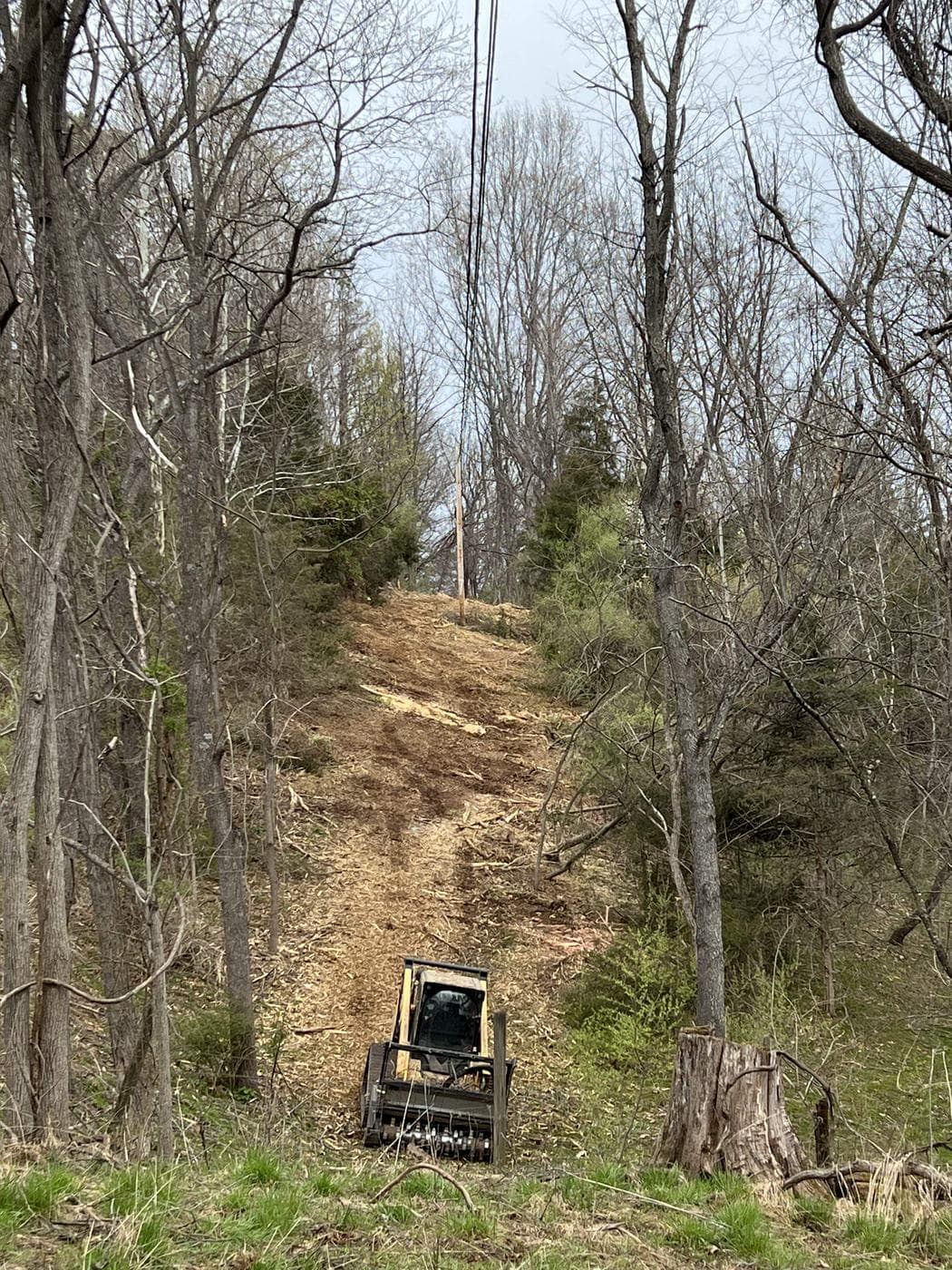 Tree care and land clearing services in Powhatan County, Virginia.
