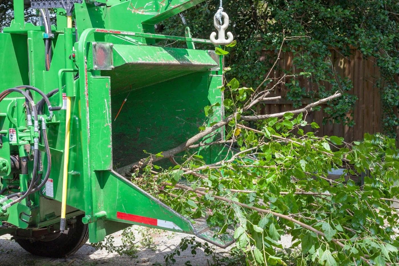 Expert tree care services in Tuckahoe, Virginia by Conner Tree Service.