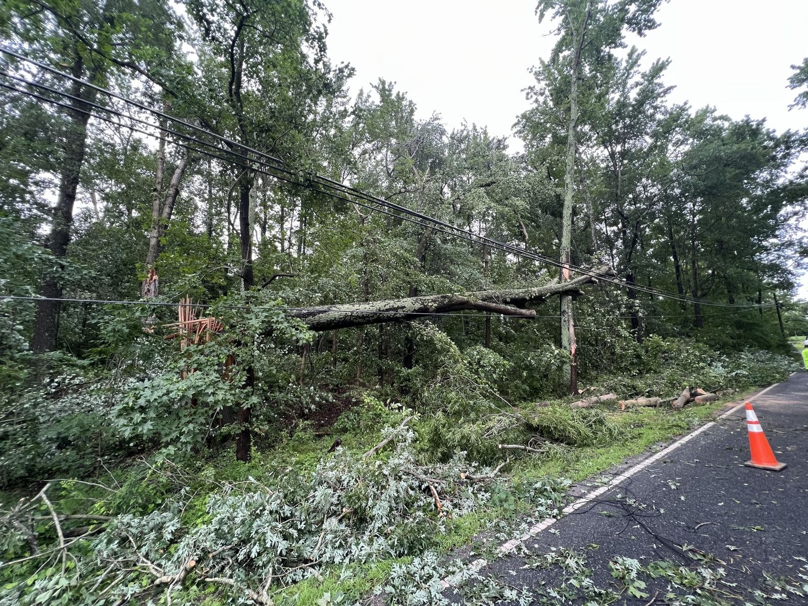 Emergency storm damage tree cleanup after a fallen tree in Quinton, Virginia.