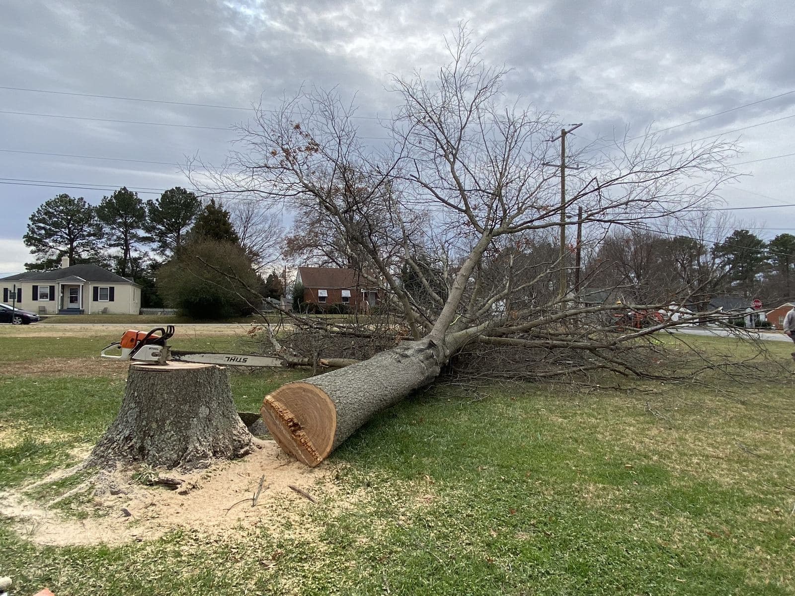 Conner Tree Service crew and chainsaw after a directional tree felling in Central Virginia.